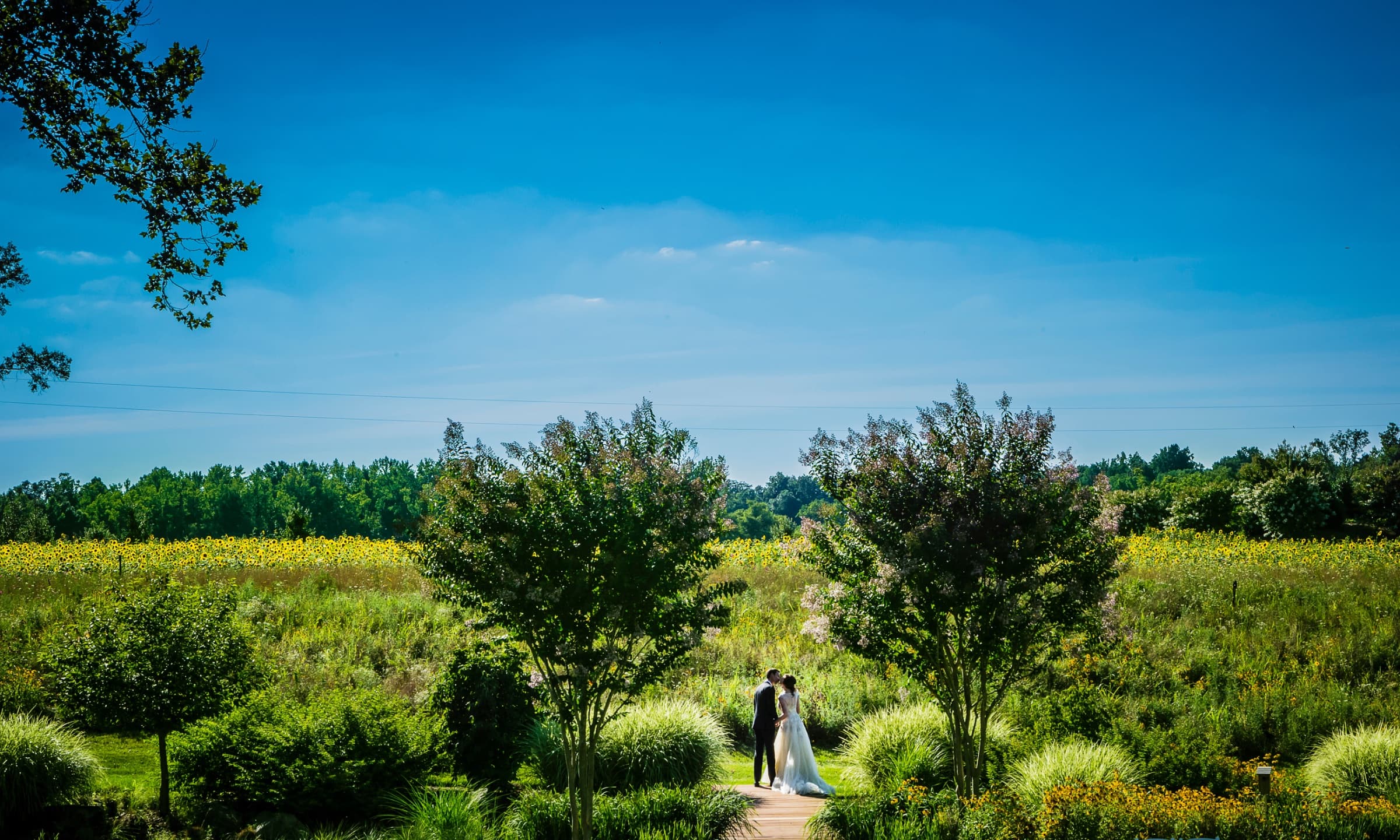 The Arbors wedding venue